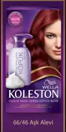 $koleston-kopuk-boya-katalogu-018.webp