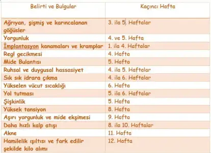 images (27).webp