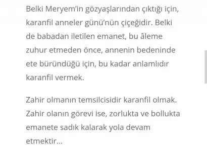 3.webp