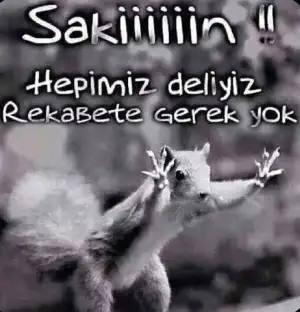 LllllllllllL.webp