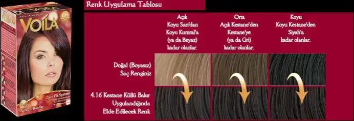 $4.16 kestane k&#252;ll&#252; bak&#305;r.webp