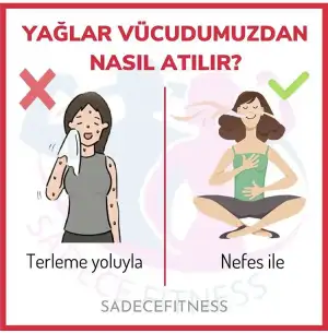 3394BD66-9DE7-40FA-9B17-E939F98B239B.webp