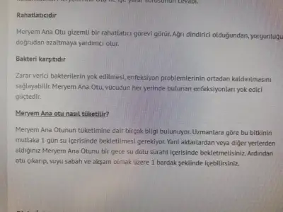 hamile kalmak icin meryem ana otu fatma ana otu kadinlar kulubu
