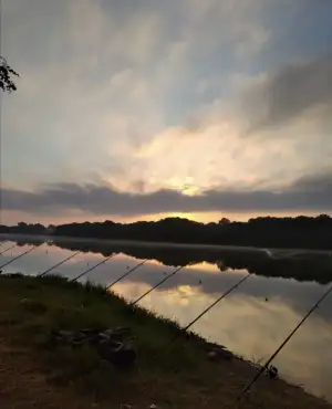 Screenshot_20201016_154332.webp