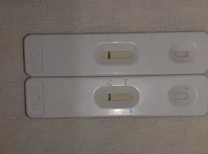 20201016_191346.webp