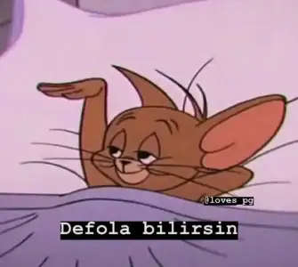 Bilinmeyen numara_ turuncu, bizim okuldaki turuncu tüyleri olan kedi,… #mizah # Mizah # amrea...webp
