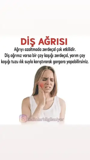 5143B9F4-C609-4E63-8359-266749BF85F2.webp
