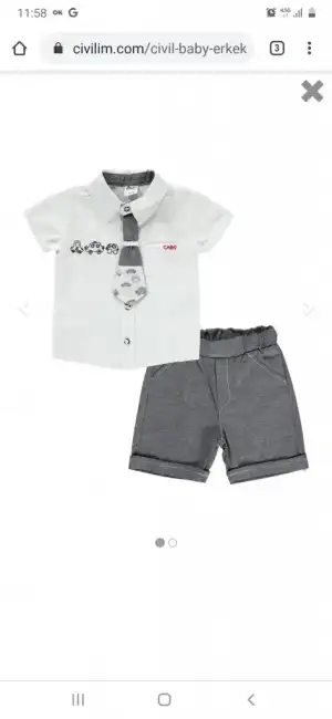 Screenshot_20201105-115806_Chrome.webp