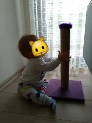 Screenshot_20201108-164827829_1.webp