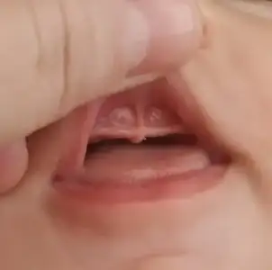 Crop_1604989978288.webp