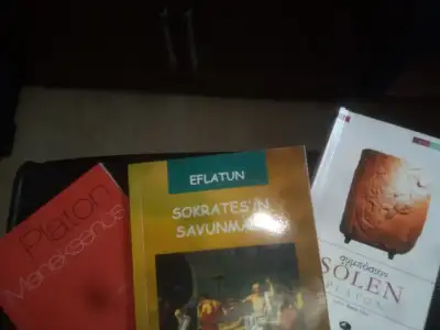 16050936199661448732496.webp