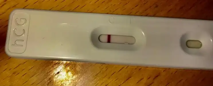 WhatsApp Image 2020-11-09 at 14.14.12.webp