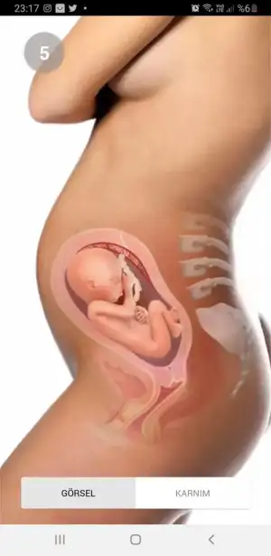 Screenshot_20201112-231724_Pregnancy+.webp