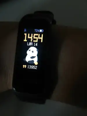 16053620346461169409415137630501.webp