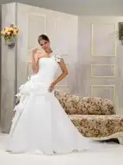 $D-1100.webp