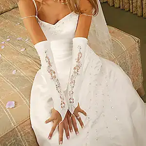 $41978500_9684395.webp