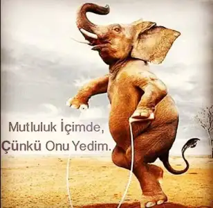 6FA0B3DA-33F4-4D75-A6AC-35D0A7D8288D.webp