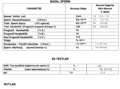 Screenshot_20201123-151132.webp