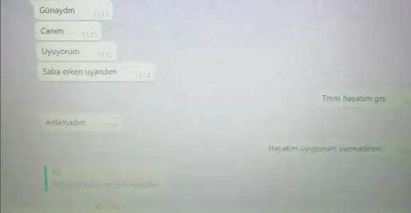 türk gün taze dükkan