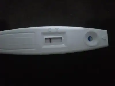 $DSC_0048.webp $DSC_0048.webp