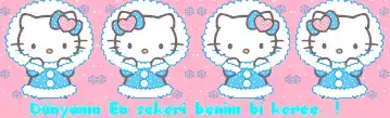 $ads305zwm3qe0.webp