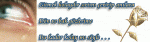 $efo9mr3bxvd2dq2.gif