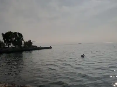20201217_140031.webp