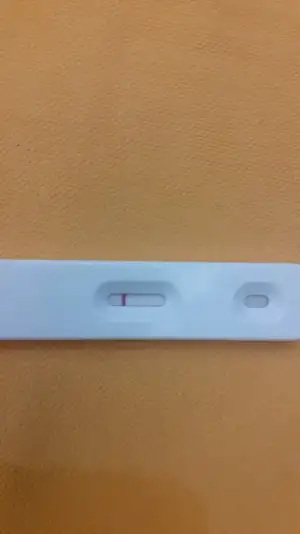 16082208741441801440077766775139.webp