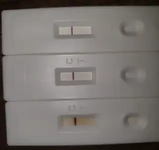 20201217_213727.webp