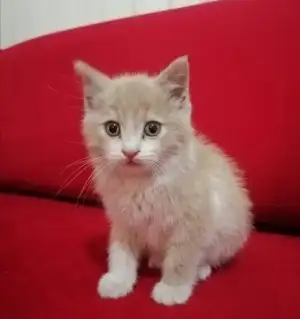 Screenshot_20201218_230940.webp
