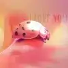 $cute_ladybug.webp