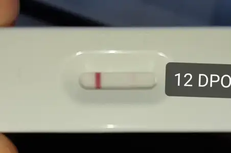 20201221_145244 (1).webp