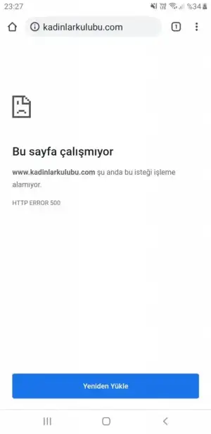 Screenshot_20201221-232744_Chrome.webp