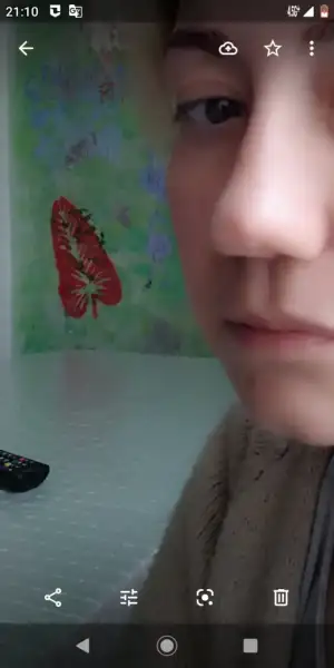 Screenshot_20201222-211003.webp