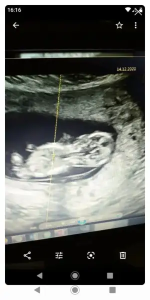 Screenshot_20201219-200723.webp