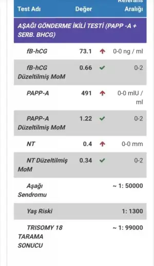 Screenshot_20201225_231457.webp