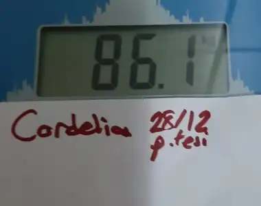 20201228_120409.webp