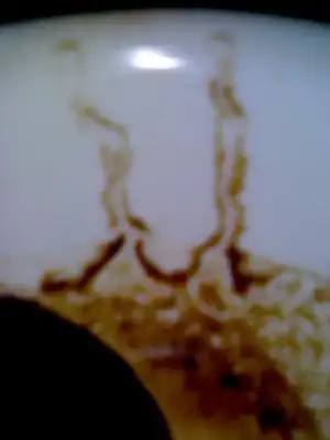 $170520123428.webp