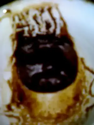 $170520123426.webp