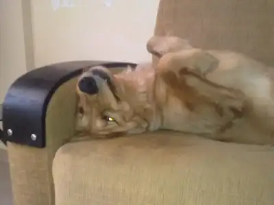$16042012179.webp