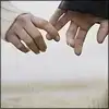 $hands.webp