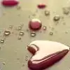 $water_heart.webp