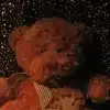 $dark_bear.webp
