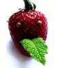 $funny_straw.webp