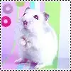 $sweet_g.webp