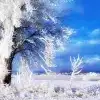 $winter.webp
