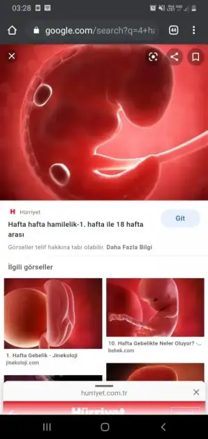 Screenshot_20210104-032842_Chrome.webp