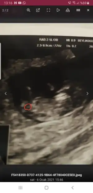 Screenshot_20210107-131658_Samsung Internet.webp