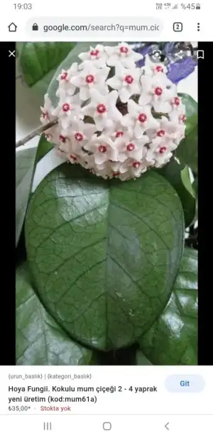 Screenshot_20210114-190341_Chrome.webp