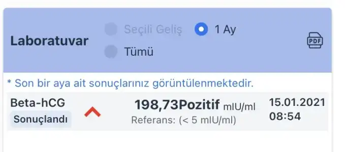 F19BA8E6-CCF2-483F-83A1-0B8D00C6AEE2.webp